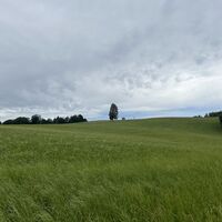 Rückblick zur Rudolfshöhe (Vierbrüderbuche und Aussichtspavillon)