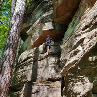 Klettern am Geißenschlupf-Felsen nahe Leimen/Pfalz