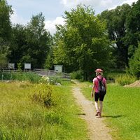 Benninger Ried Spazierweg zur Tretanlage