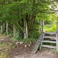 Losenstein-Hohe Dirn Trail