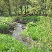 tieferbach-kallenberg