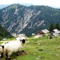 Freundliche Begrüßung bei der Angerkaralm.