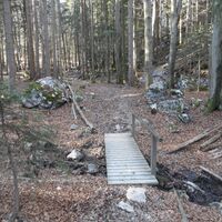 Brücke über kleines Bächlein