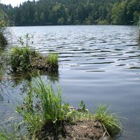 Saissersee