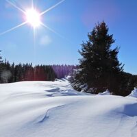 Feistritzsattel - Harterkogel
