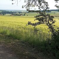 Aussicht von der Schutzhütte  in Bökendorf