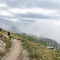 WM Flow Trail