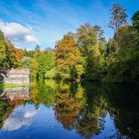 Schlosspark Matzen Teich Herbst