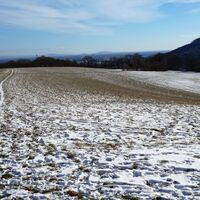 Blick nach Wien etc.