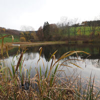 Teich bei Grafschaft