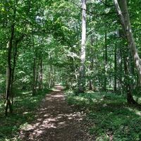 Wanderweg Lamspringe Niedere Berge