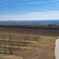 Blick nach grob Süd in den Hammergraben