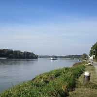 Am Donauradweg