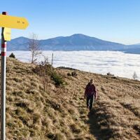Die letzten Meter vor unserem Ziel auf der Hammerleckwiese