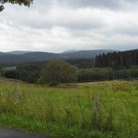 Landschaft