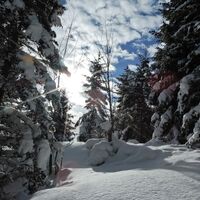 Feistritzsattel - Harterkogel