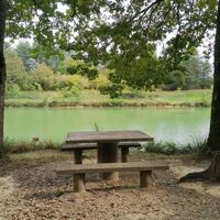 Am Ufer des Sees von Auzerals