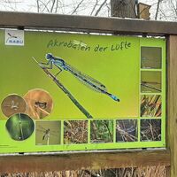 NABU Infotafel am Buchholzer Biotop