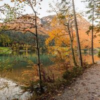 Hintersteiner See Herbst_Scheffau_Foto von Felbert_Reiter (2)_1920px.jpg