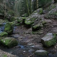Trail entlang der Wolfsschlucht