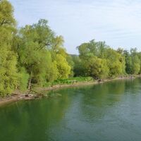 Vogelschutzgebiet Rheininsel