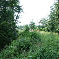Verlängerung am Rückweg