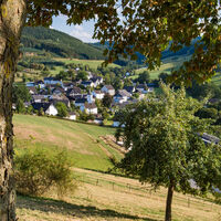 Bienenlehrpfad auf der Golddorf-Route Oberhenneborn