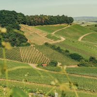 DSGVO_Z_Brackenheim_Zweifelberg Aussicht_18_WEB