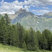 Alpenbogen A141 Rifugio Bosio Galli - Rifugio Cesera Mitta