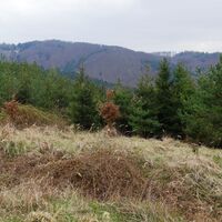 Am Hirschen Richtung Halterbach