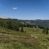 20260713_Sommer_5513.jpg