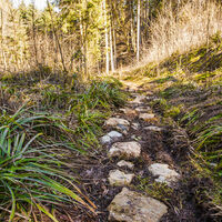 Mildersbachtalrundweg