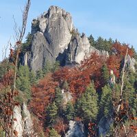 Felsen