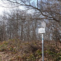 Aufstieg zum Schöpfl