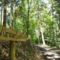 Der Würmer Lochweg führt durch den idyllischen Wald.