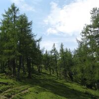 Göriacher Alm und Hochanger