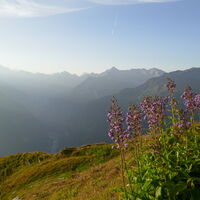 Blick ins Anlauftal