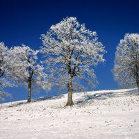 Winterwanderweg Pulvermoos