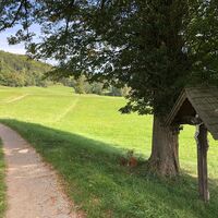laufrunde antonienhöhe_img_42297400