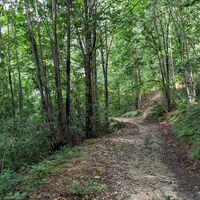 Weg nach der Kirche St. Antonius