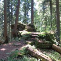 Waldpfad führt an Felsen vorbei