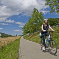Radeln auf dem Bodenseeradweg