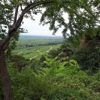 Ausblick Michaelskapelle