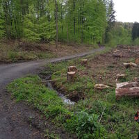 Landschaft