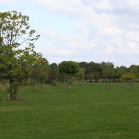 Arboretum Baumpark Thedinghausen