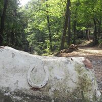 Am Weißen Stein, dem höchsten Punkt der Wanderung, kreuzen sich zahlreiche Wanderwege.
