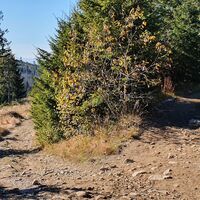 12.9 km Rechtsabzweigung bei Rozdziele