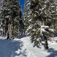 Entlang des Wanderweges 113 durch den Wald