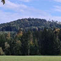 Sicht zum Oberfrauenwald