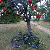Pian dei Militi - MTB